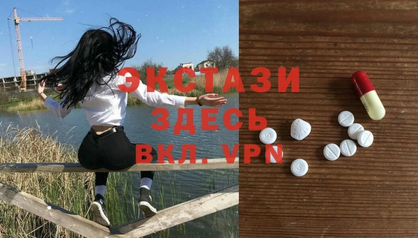 хмурый Богородицк