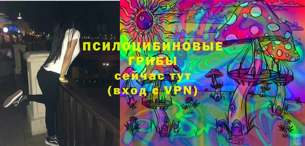 ECSTASY Богородск