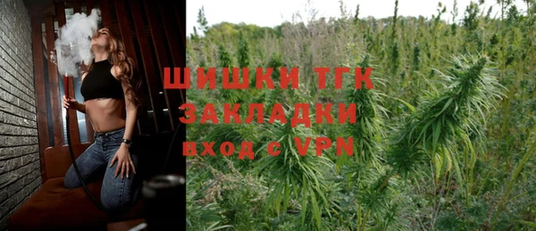 шишки Богданович
