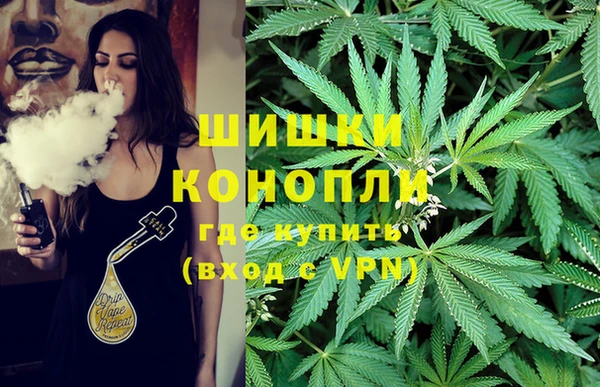 шишки Богданович