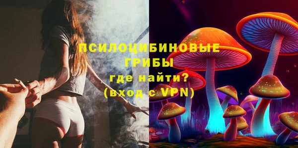 хмурый Богородицк